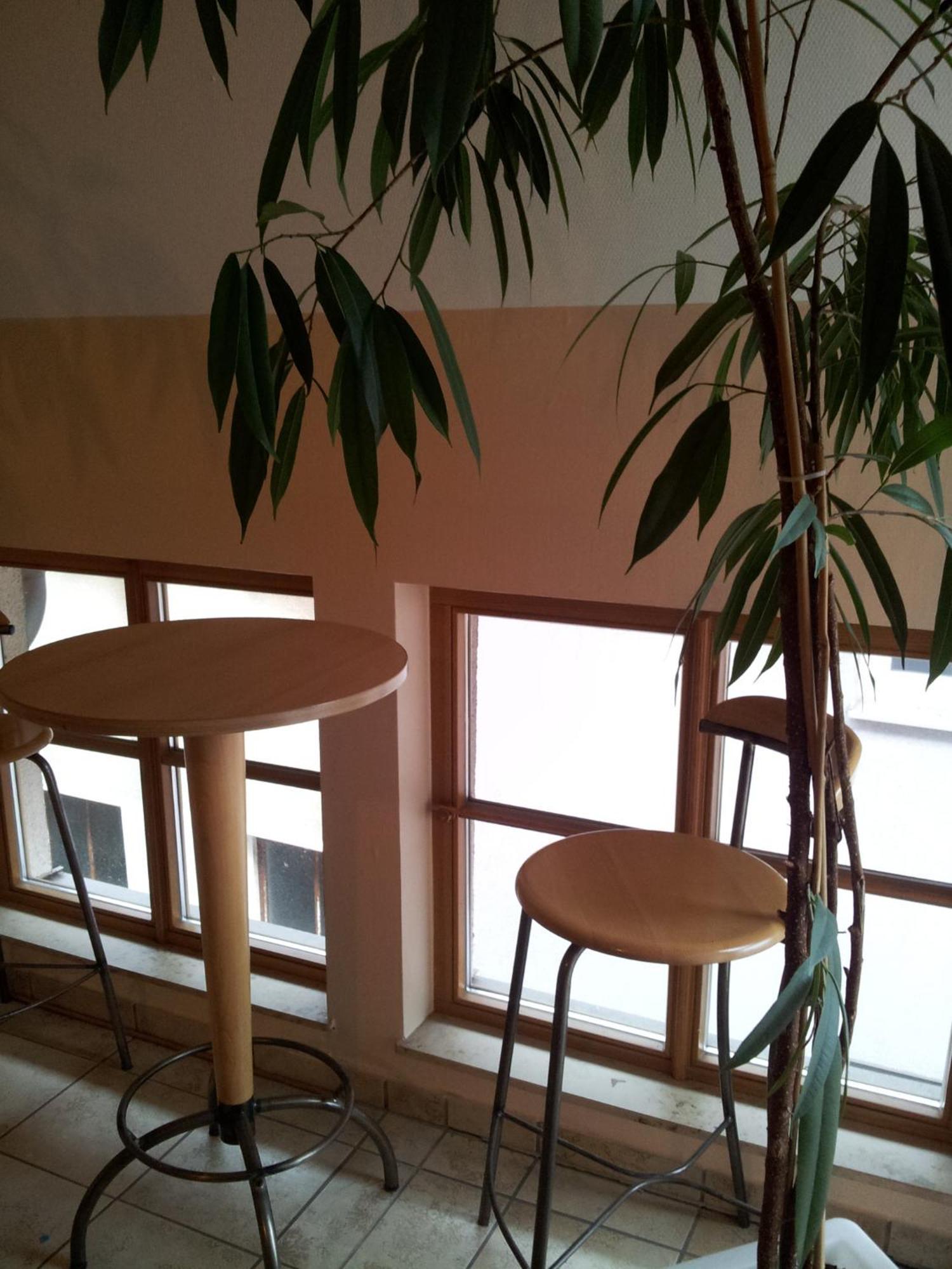 Zur Frischen Quelle Otel Oberasbach Oda fotoğraf